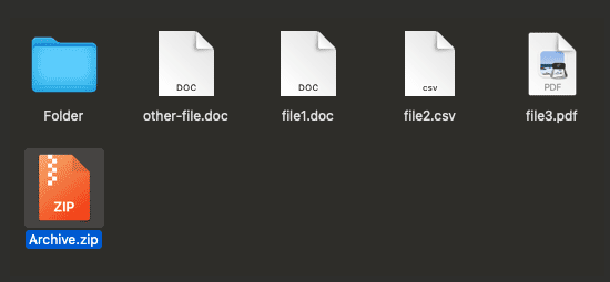 ZIP File Icon Selected in macOS